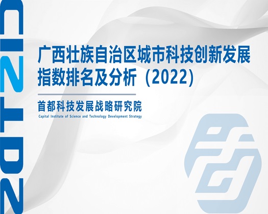 女艹男电影【成果发布】广西壮族自治区城市科技创新发展指数排名及分析（2022）